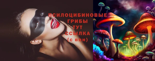 бутират Каменногорск