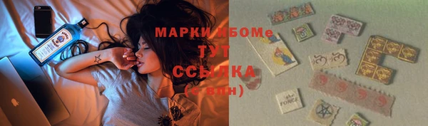 прущие грибы Каменка