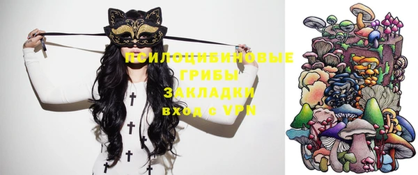 гидропоника Карпинск